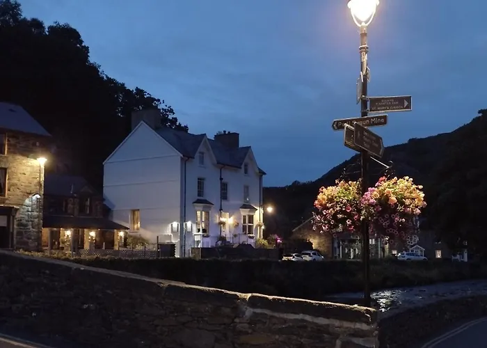 Plas Tan Y Graig B&B Guest House Beddgelert